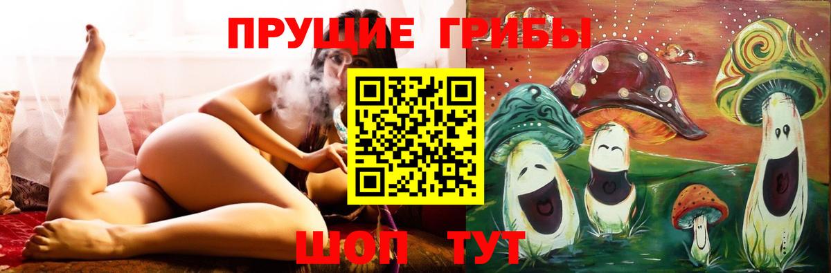 Псилоцибиновые грибы MAGIC MUSHROOMS  Галлюциногенные грибы GOLDEN TEACHER  Ступино  Вход с VPN 